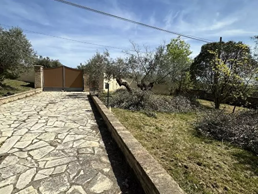 Immagine 9 di Villa in vendita  88 a Città Sant'angelo