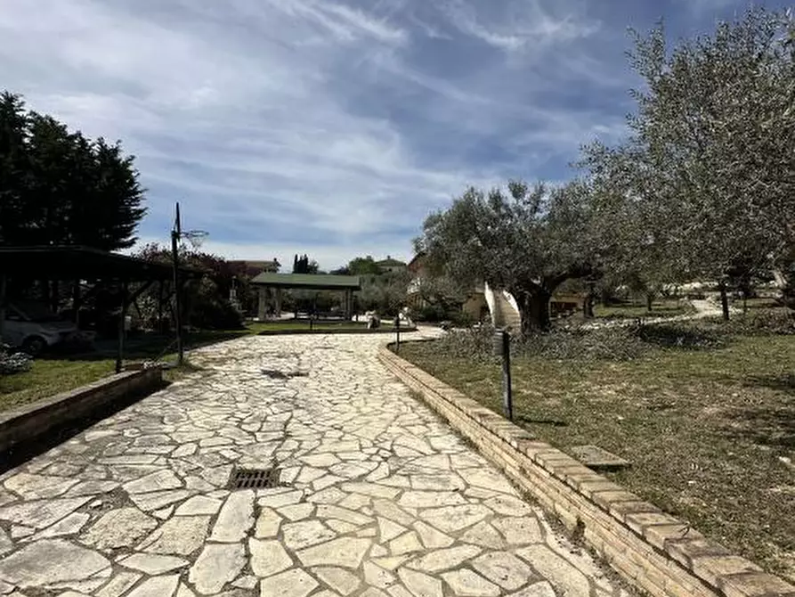 Immagine 8 di Villa in vendita  88 a Città Sant'angelo