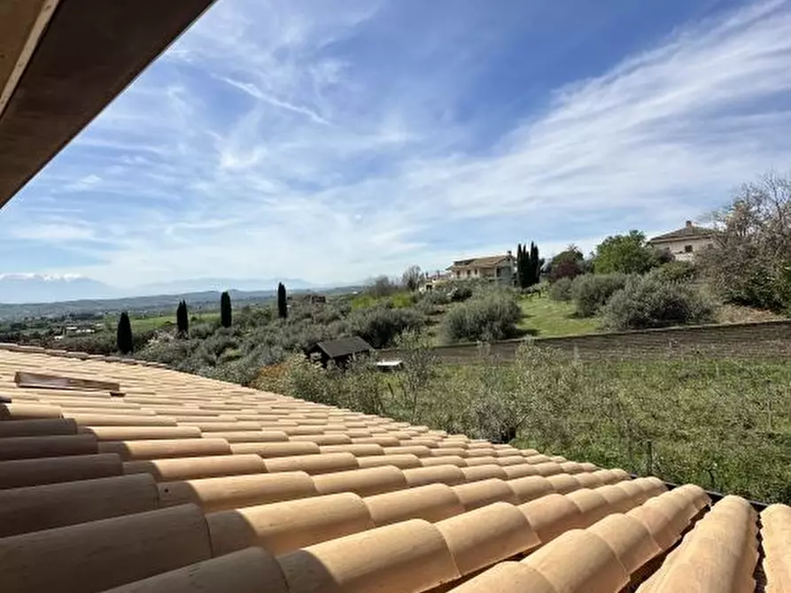 Immagine 6 di Villa in vendita  88 a Città Sant'angelo