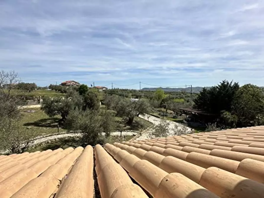 Immagine 4 di Villa in vendita  88 a Città Sant'angelo