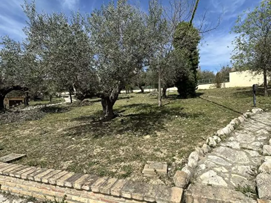 Immagine 7 di Villa in vendita  88 a Città Sant'angelo