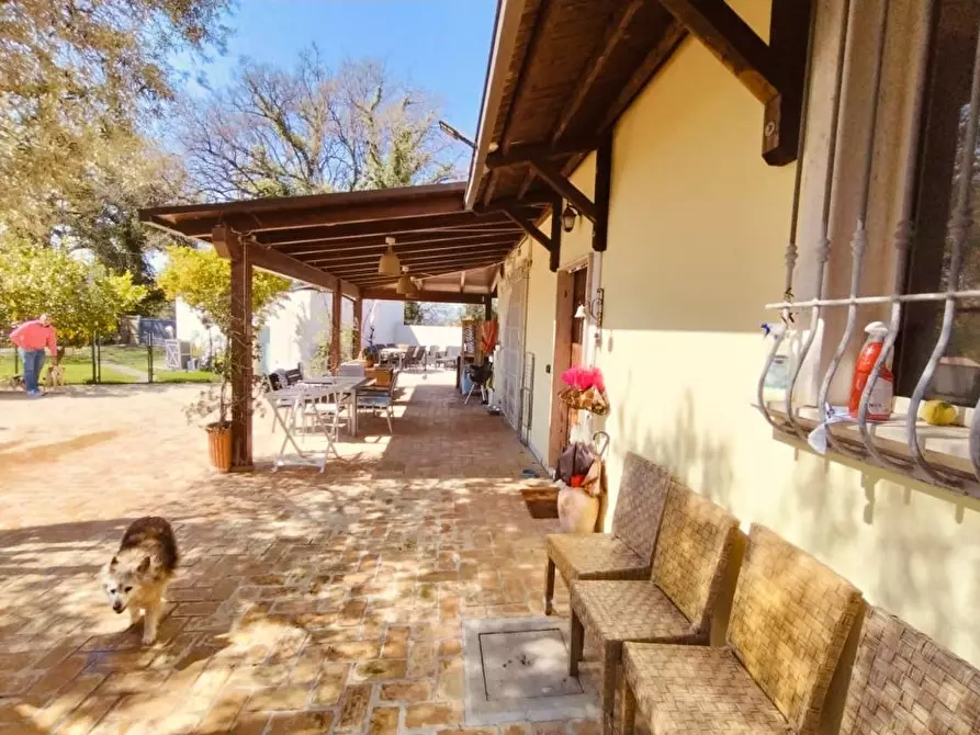 Immagine 10 di Villa in vendita  a Pescara