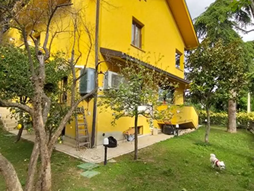 Immagine 2 di Villa in vendita  15 a Pescara