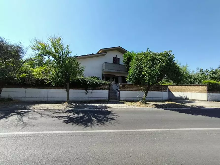 Immagine 4 di Villa in vendita  233 a Pianella