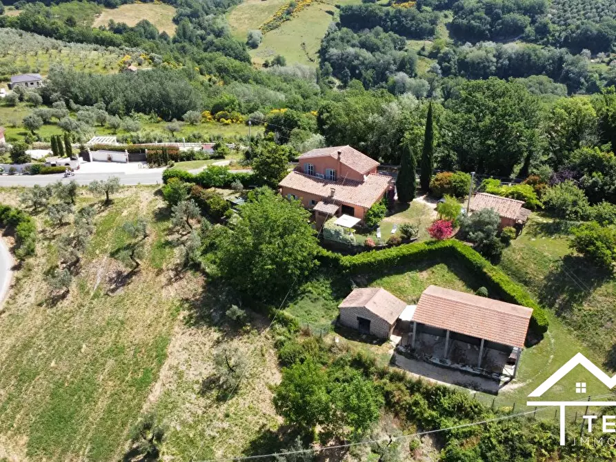 Immagine 6 di Villa in vendita  a Torri In Sabina