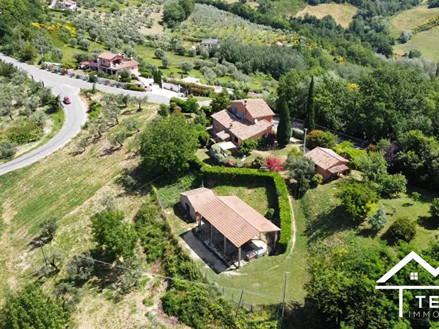 Immagine 7 di Villa in vendita  a Torri In Sabina