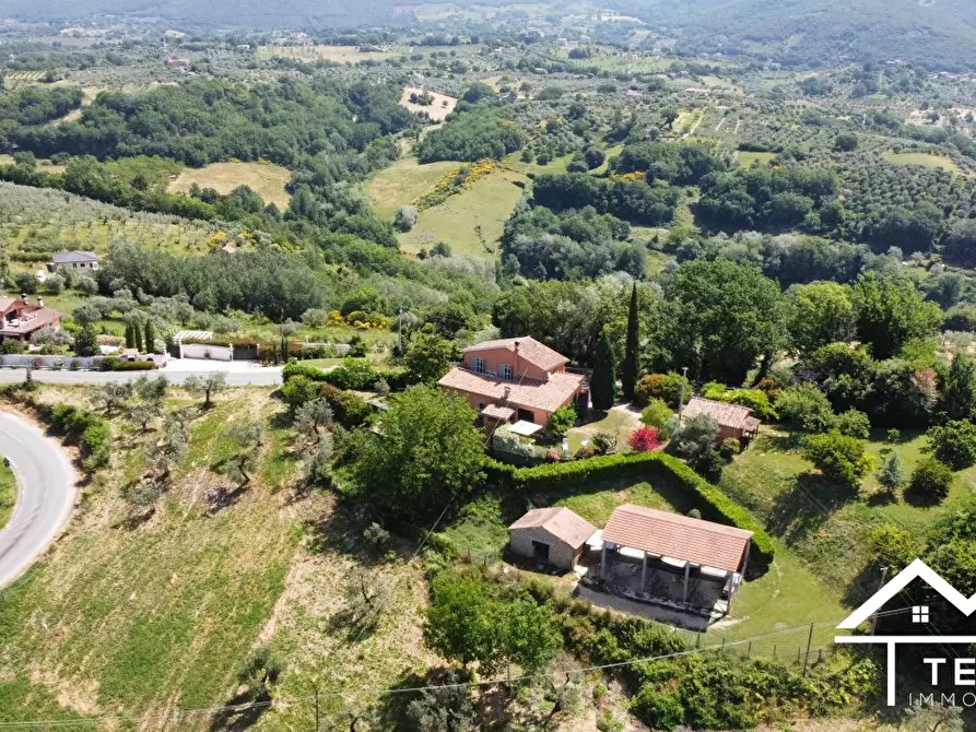 Immagine 5 di Villa in vendita  a Torri In Sabina