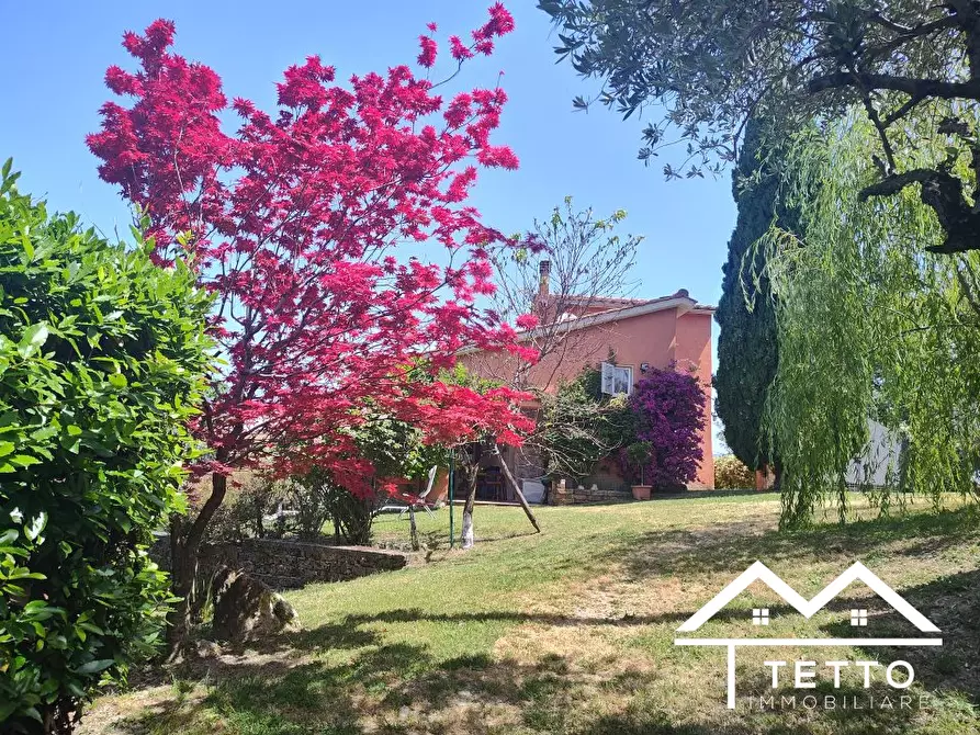 Immagine 1 di Villa in vendita  a Torri In Sabina