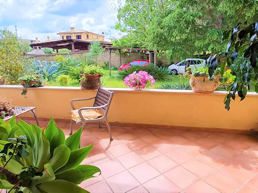 Immagine 6 di Villa in vendita  34 a Cerveteri