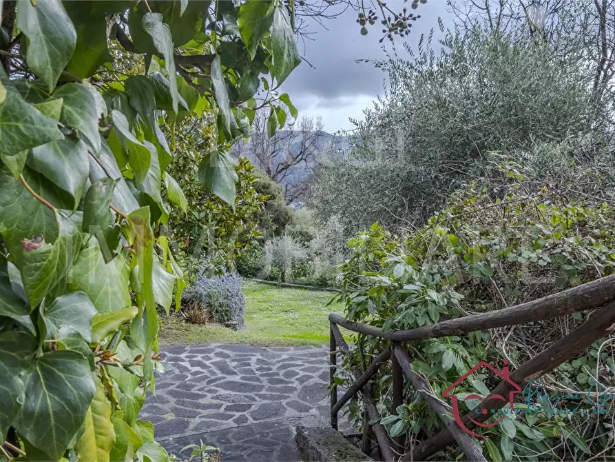 Immagine 4 di Villa in vendita  17 a Garlenda