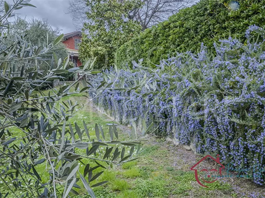 Immagine 2 di Villa in vendita  17 a Garlenda