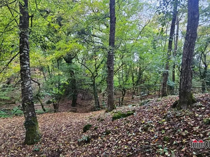 Immagine 10 di Villa in vendita  a San Gimignano