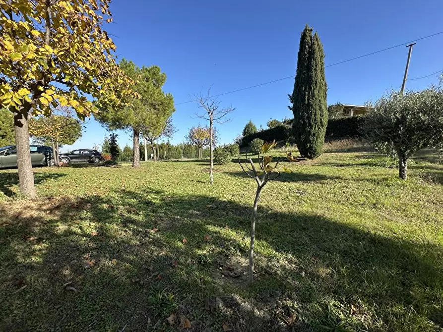 Immagine 4 di Villa in vendita  12 a Roseto Degli Abruzzi
