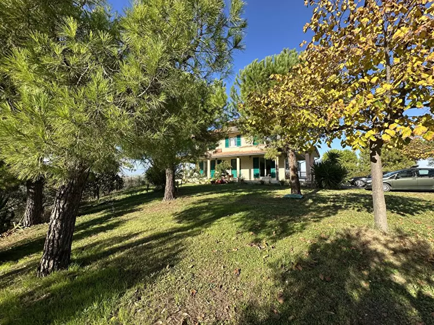 Immagine 7 di Villa in vendita  12 a Roseto Degli Abruzzi