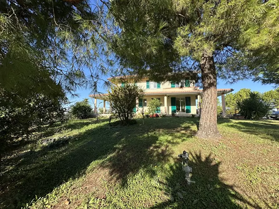 Immagine 6 di Villa in vendita  12 a Roseto Degli Abruzzi