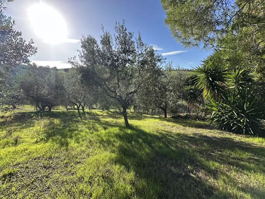 Immagine 5 di Villa in vendita  12 a Roseto Degli Abruzzi