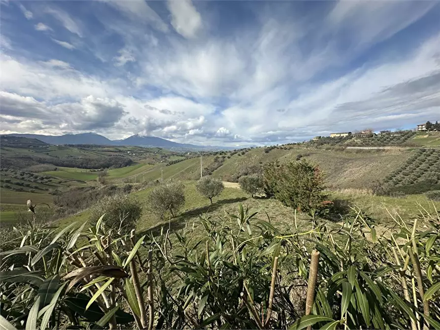 Immagine 3 di Villa in vendita  5 a Bellante