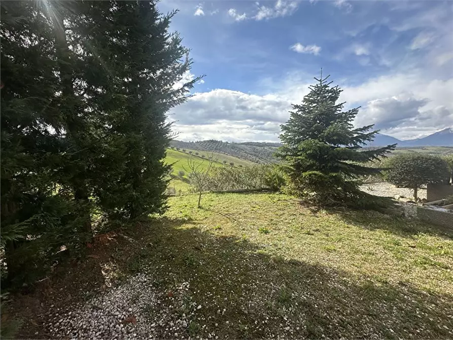 Immagine 7 di Villa in vendita  5 a Bellante