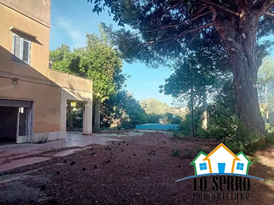 Immagine 2 di Villa in vendita  a Castelvetrano