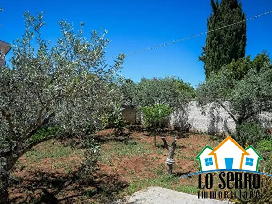 Immagine 6 di Villa in vendita  a Castelvetrano