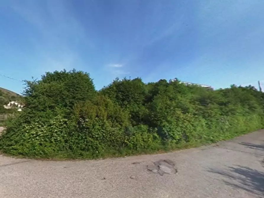 Immagine 3 di Villa in vendita  a Negrar di Valpolicella