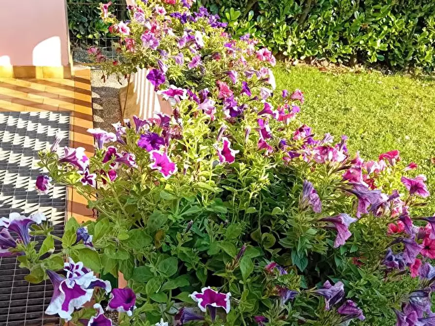 Immagine 3 di Villetta a schiera in vendita  a Liscate