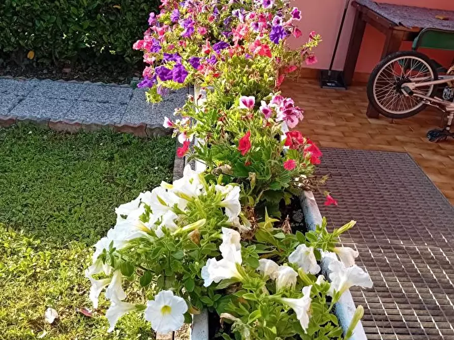 Immagine 4 di Villetta a schiera in vendita  a Liscate