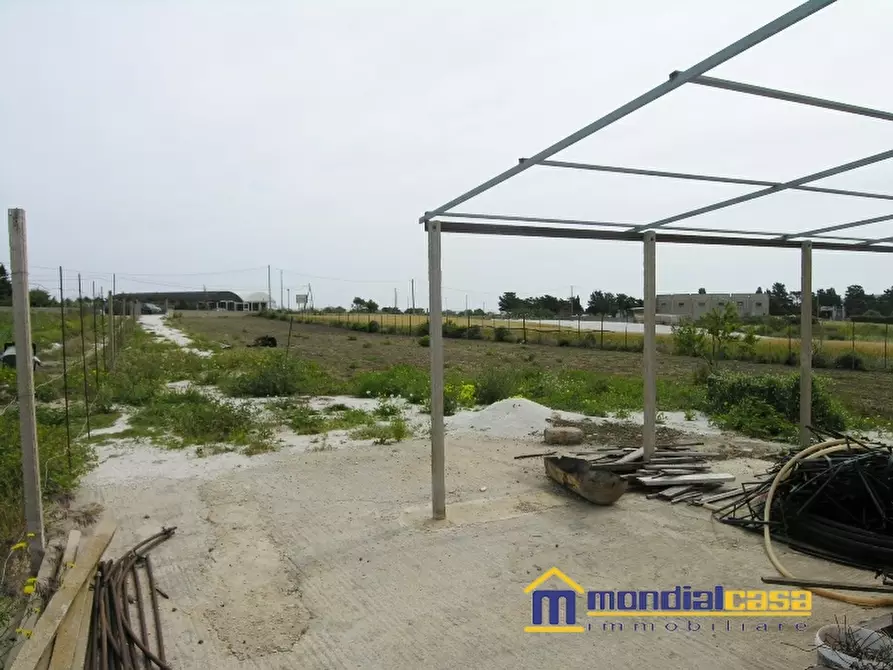 Immagine 10 di Villa in vendita  a Pachino