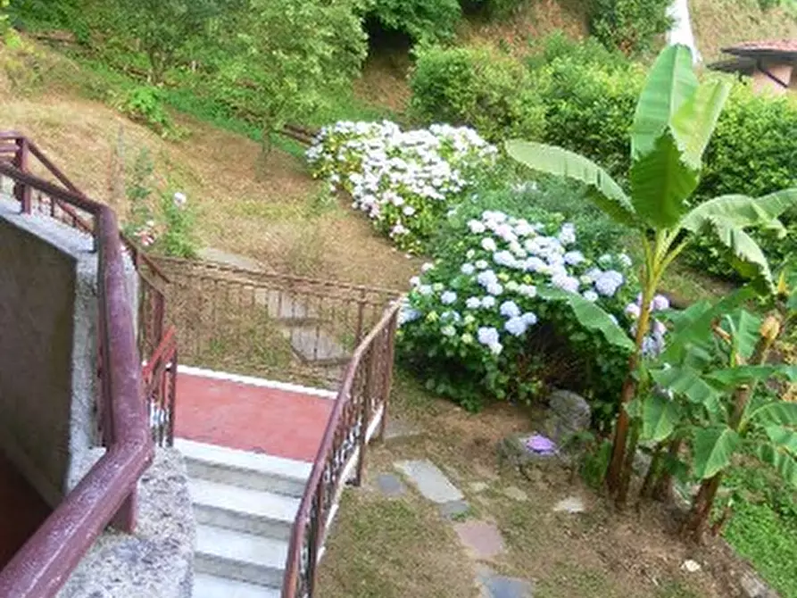 Immagine 5 di Villa in vendita  a Carrara