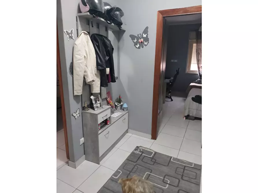 Immagine 5 di Appartamento in vendita  a Capaci