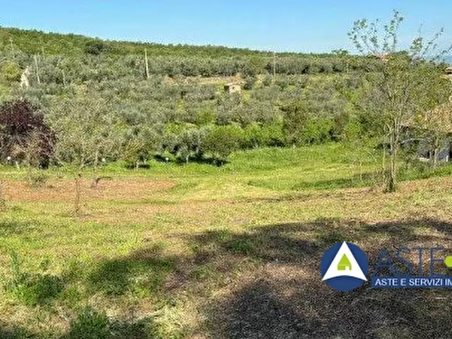 Immagine 2 di Villa in vendita  a Soriano Nel Cimino