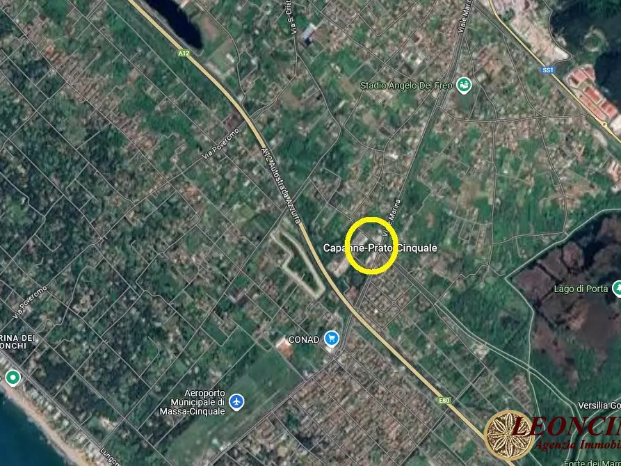 Immagine 5 di Villa in vendita  116 a Montignoso