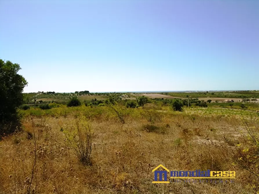 Immagine 2 di Terreno in vendita  a Noto