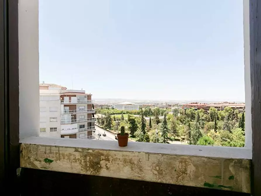 Immagine 4 di Camera in affitto  in Avenida de la Constitución a Granada