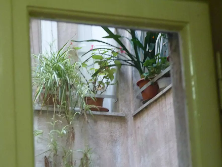 Immagine 10 di Camera in affitto  in Via Antonio Ceci a Pisa