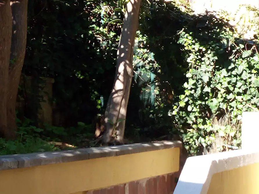 Immagine 8 di Appartamento in affitto  in Piazza Lodi a Roma