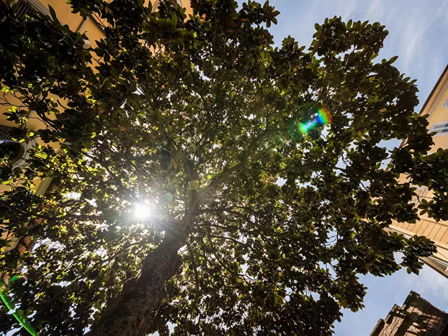 Immagine 9 di Camera in affitto  in Viale Don Giovanni Minzoni a Siena
