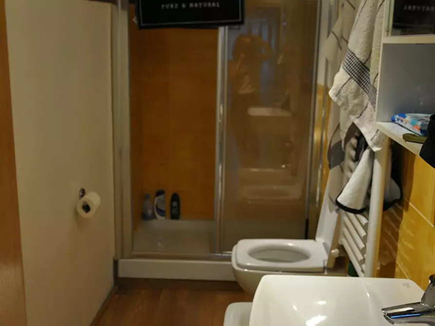 Immagine 3 di Camera in affitto  in Via del Ponte Rosso a Firenze