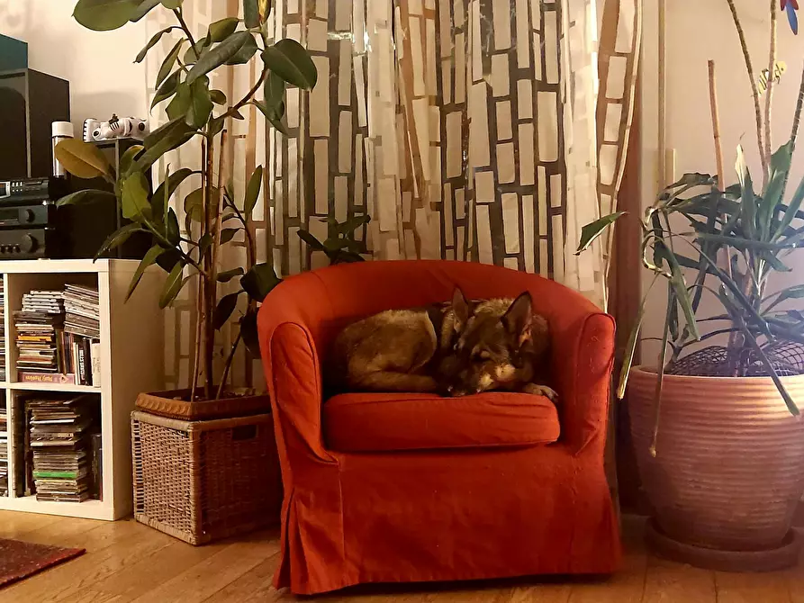 Immagine 6 di Camera in affitto  in Via Aligi Barducci a Firenze