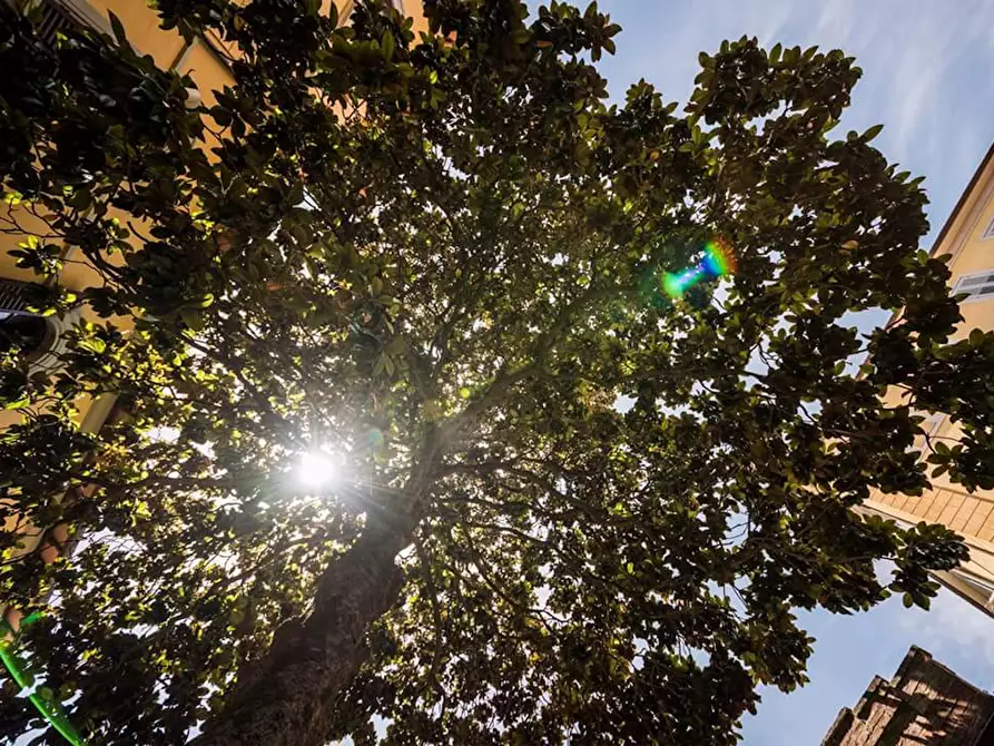 Immagine 6 di Camera in affitto  in Viale Don Giovanni Minzoni a Siena