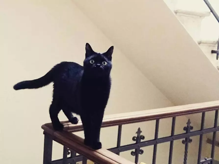 Immagine 4 di Camera in affitto  in Viale Don Giovanni Minzoni a Siena