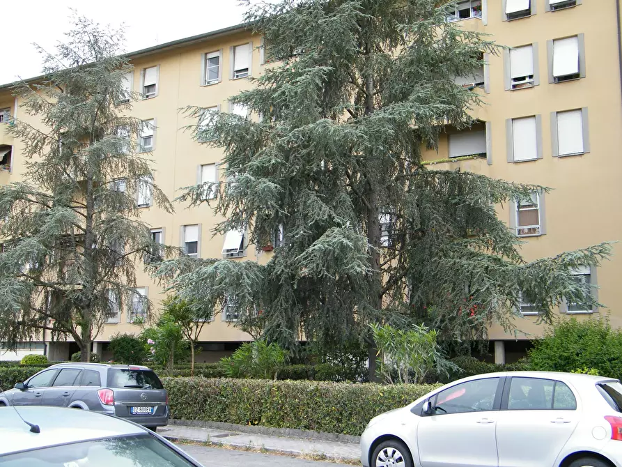 Immagine 6 di Camera in affitto  in Via Giorgio Vasari a Pisa