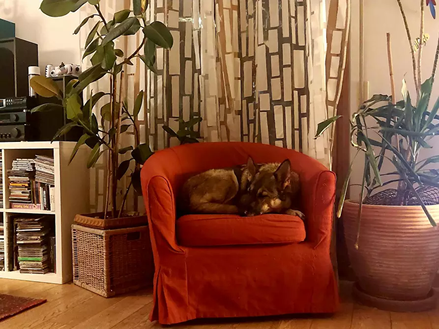 Immagine 9 di Camera in affitto  in Via Aligi Barducci a Firenze