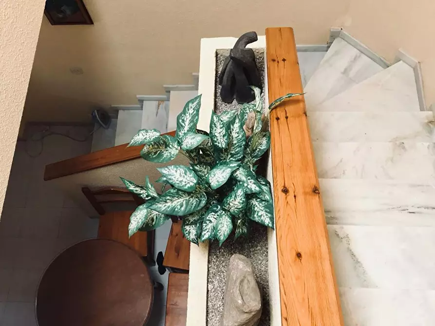 Immagine 9 di Appartamento in affitto  in Calle del Ancla a Las Marinas