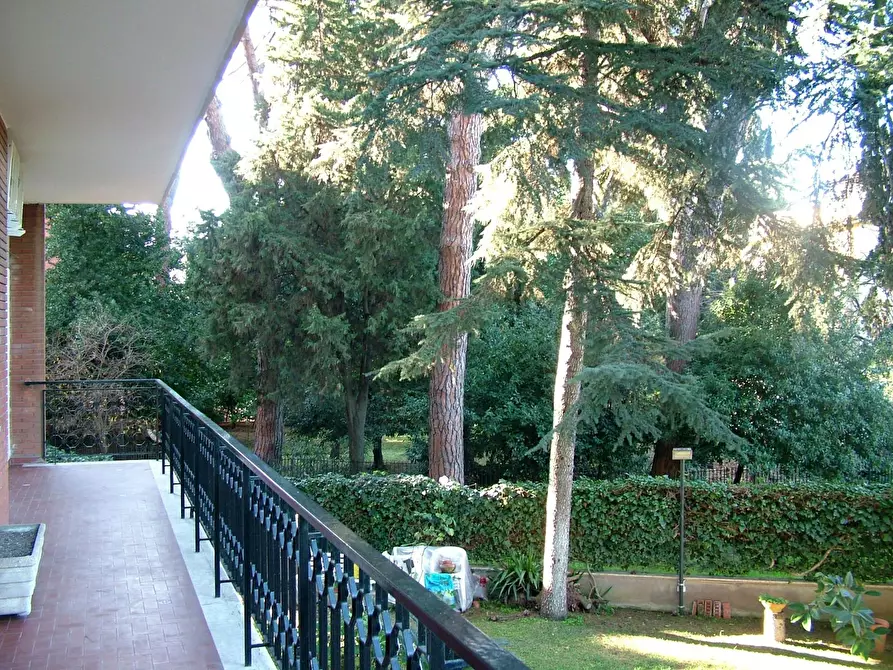 Immagine 7 di Camera in affitto  in Via Francesco Vettori a Roma