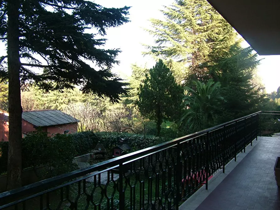 Immagine 6 di Camera in affitto  in Via Francesco Vettori a Roma