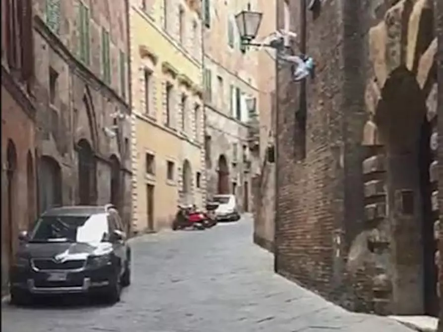 Immagine 8 di Camera in affitto  in Casato di Sopra a Siena