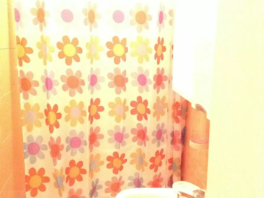 Immagine 3 di Camera in affitto  in Casato di Sopra a Siena