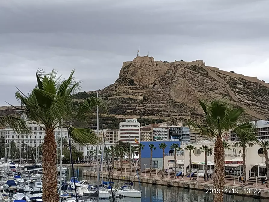 Immagine 1 di Camera in affitto  in Avenida Óscar Esplá a Alicante/Alacant