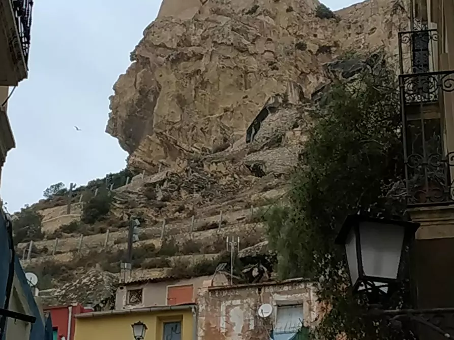 Immagine 2 di Camera in affitto  in Avenida Óscar Esplá a Alicante/Alacant